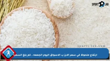 ارتفاع ملحوظ في سعر الأرز ب الأسواق اليوم الجمعة.. كم بلغ السعر؟